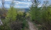 Trail Walking Vielsalm - Vielsalm Gouvy 17,5 km - Photo 16