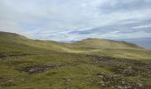 Trail Walking Lopra - Akraberg lighthouse - Photo 8