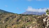 Tocht Stappen Los Realejos - San Juan de la Rambla - Photo 12