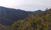 Tour Wandern Lantosque - cime de Suorcas en boucle  - Photo 3