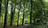 Tocht Noords wandelen Esneux - Promenade Delsaux - Photo 1