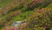 Trail Walking Chamonix-Mont-Blanc - monté au refuge Albert 1er - Photo 3