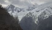 Trail Walking Les Houches - aiguillette d'houches  - Photo 14