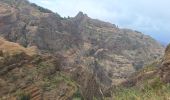 Trail Walking Unknown - xoxo vallée de ribeira de torye - Photo 2