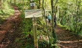 Trail Walking Collonges-la-Rouge - colonge - Photo 5