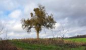 Randonnée Marche Hamois - La Promenade du Berceau du Bocq - Photo 19