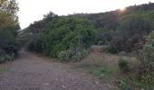 Tocht Trail La Seyne-sur-Mer - fabregas, sémaphore du cap Sicié. sentier du littoral  - Photo 17