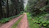 Trail Walking Orcival - Lac de Servières à partir du Café du Lac - Photo 3