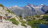 Excursión Senderismo La Chapelle-en-Valgaudémar - Les Lacs de Pétarel - Photo 6