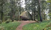 Tocht Stappen Le Tholy - Le trou de l'enfer - Photo 1