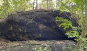 Tour Wandern Le Diamant - Grottes marines Diamant  - Photo 10