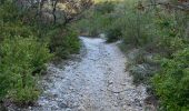 Tour Wandern La Roque-d'Anthéron - PF-La-Roque-d'Anthéron - La Chaîne des Côtes - Reco - Photo 7