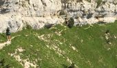 Randonnée Marche Saint-Pierre-d'Entremont - rochers de Fouda Blanc et sommet du Pinet  - Photo 13