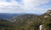 Trail Walking Gémenos - Col de L'Espigoulier, col de Bretagne, Dents de Roque Forcade A/R - Photo 10