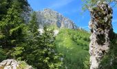 Tour Wandern Saint-Pierre-de-Chartreuse - Le charmant Som en Boucle - Photo 16
