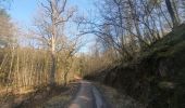 Trail Walking Houyet - rando custinne 8 /03/2021 - Photo 17