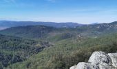 Trail Walking Brignoles - l'Amarron - Photo 7