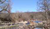 Tour Wandern Sentheim - Sortie école primaire - Photo 9