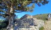 Tour Wandern Saze - 2024-03-13 les capitelles de Saze - Photo 12