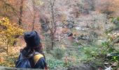 Tour Wandern Echternach - mullerthal e1 - Photo 11