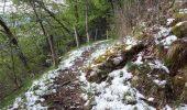 Randonnée Marche La Rivière - sentier botanique  - Photo 3