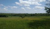 Randonnée V.T.T. Port-sur-Saône - VTT Montigny les Vesoul - Photo 9