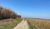 Tour Wandern Anthisnes - Anthines - AS03 - Boucle de Tolumont - Losange Bleu - Photo 9