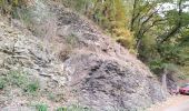 Tour Wandern Trooz - FORÊT VILLAGE  - Photo 16