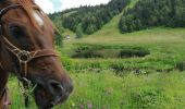 Trail Horseback riding Ventron - frère Joseph  - Photo 1