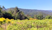 Tocht Stappen Nans-les-Pins - SityTrail -  La source de L' huveaune - Vieux nans - grottes - Photo 17