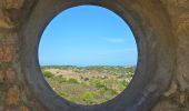 Excursión Senderismo Calvi - Boucle Croix des Balkans - Phare de Revellata - Notre dame de la Sierra - Photo 10