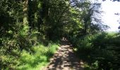 Trail Walking Lassy - canut - Photo 1