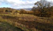 Tour Wandern Lüttich - liège - angleur  - Photo 12