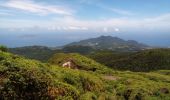 Randonnée Marche Saint-Claude - La Soufrière - Photo 17