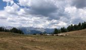 Excursión Senderismo Molines-en-Queyras - Col des Prés Fromage - Photo 2