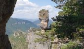 Trail Walking Saint-Pierre-des-Tripiers - Jonte Corniches du Mejean - Photo 1