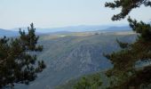 Tour Wandern Loubaresse - Etape1 Cévenne ardéchoise 17km - Photo 1