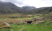 Tour Wandern Albertacce - GR20 Etape 6 Castel Di Vergio Manganu - Photo 1