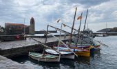 Tocht Stappen Argelès-sur-Mer - Argelès - port Vendres - Photo 2