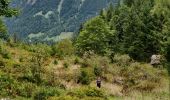 Trail Walking Innertkirchen - 2022-09-14 Marche Suisse Triftbrucke - Photo 2