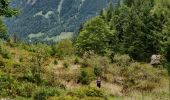 Excursión Senderismo Innertkirchen - 2022-09-14 Marche Suisse Triftbrucke - Photo 2