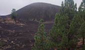 Tour Wandern Garachico - Arenas Negras - Photo 5