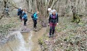 Randonnée Marche Mirambeau - Mirambeau petit Niort - Photo 1