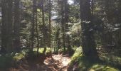 Trail Walking Saint-Priest-la-Prugne - Col de la Charme - Photo 9