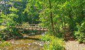 Randonnée Marche Durbuy - Balade à Bomal sur Ourthe - Photo 5