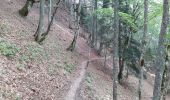 Trail Walking Saint-Michel-les-Portes - Tour du Mont  Aiguille - Photo 2