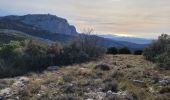 Trail Walking Gémenos - le baou de Bertagne au départ du col de l'Espigoulier  - Photo 15