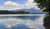 Trail Walking Bled - bled - tour du lac - Photo 8