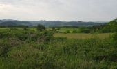 Trail Walking Le Puy-en-Velay - Chemin de Stenvenson 1 - Photo 9