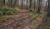 Percorso Marcia Marcilly-en-Beauce - Varennes - Photo 7